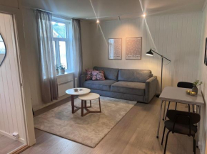 Koselig leilighet i Ålesund sentrum